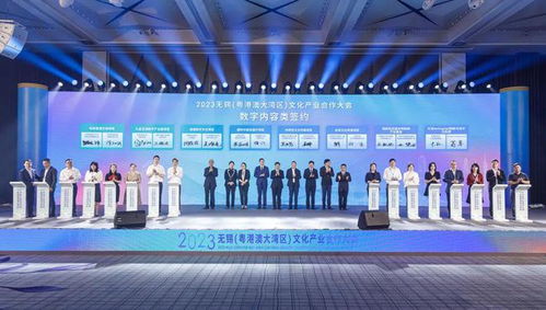 无锡粤港澳大湾区文化产业合作大会举行，聚焦数字文化创意内容应用服务